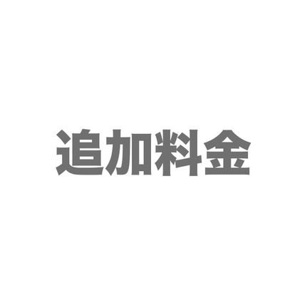 追加料金 関税込