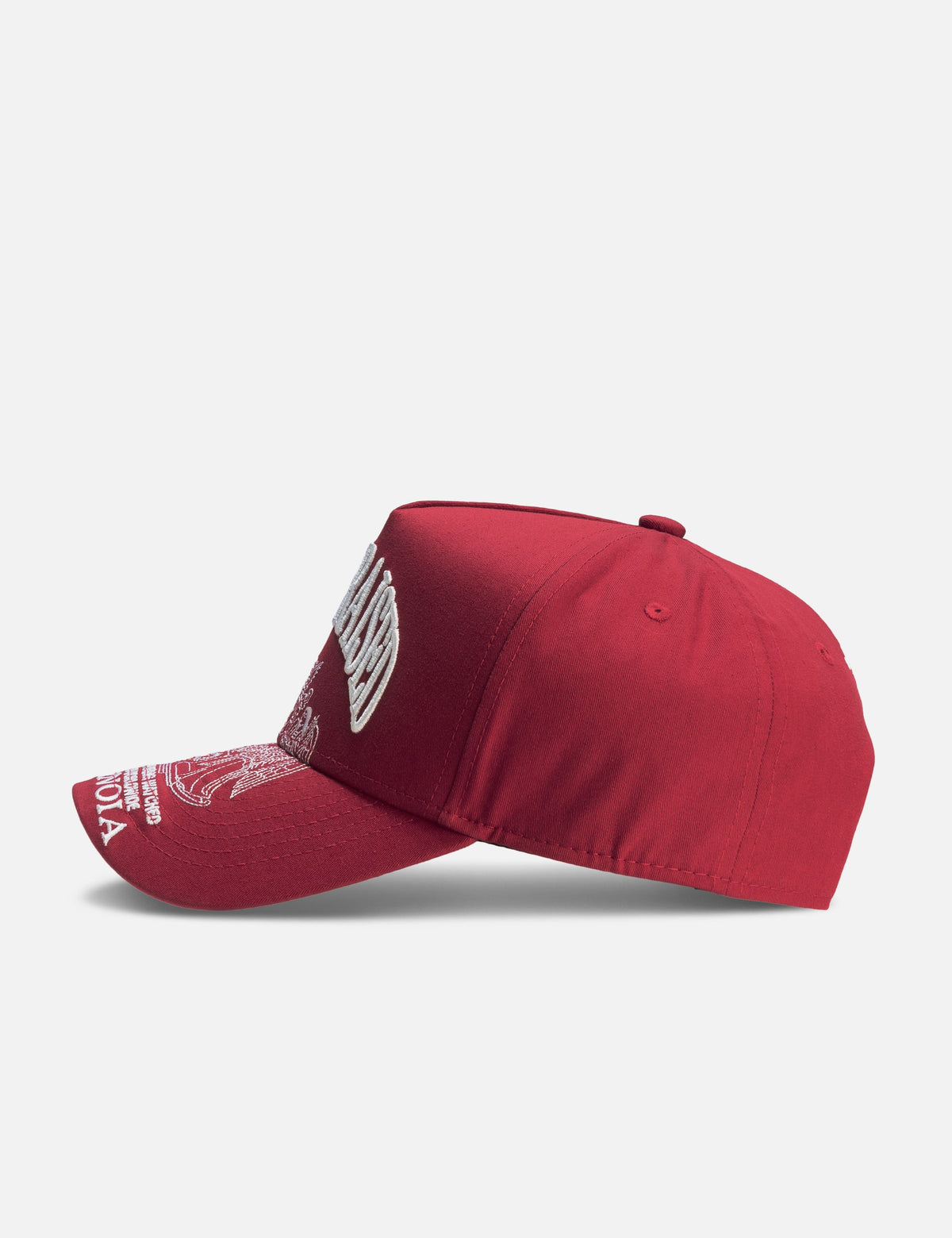 Born X Raised 生まれ x 育てられた 【本物保証】 帽子 ストリート系 メンズ Paranoia Crest Snapback