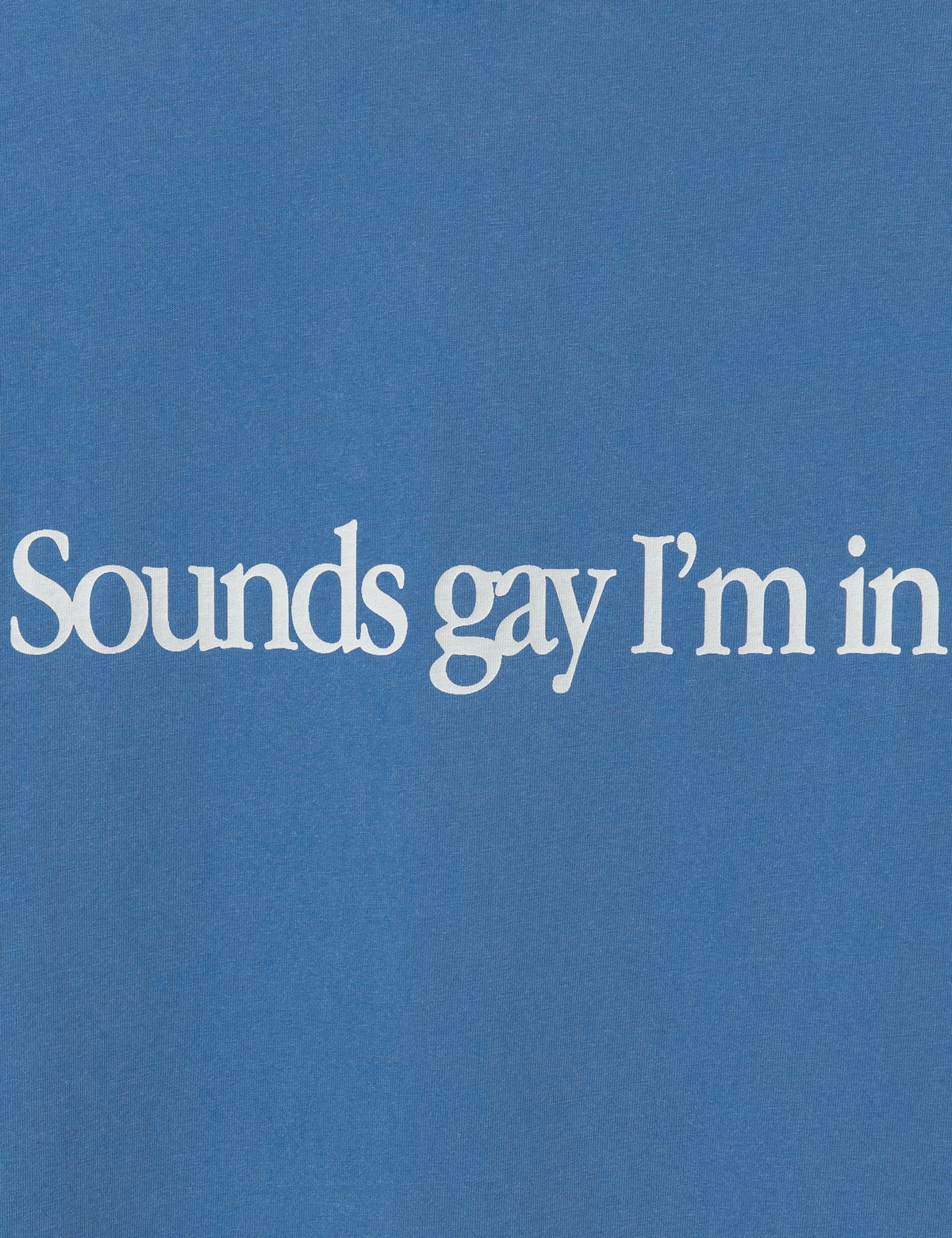 Carne Bollente カルネ・ボレンテ 【本物保証】 Tシャツ ストリート系 ユニセックス Simply Sounds Gay