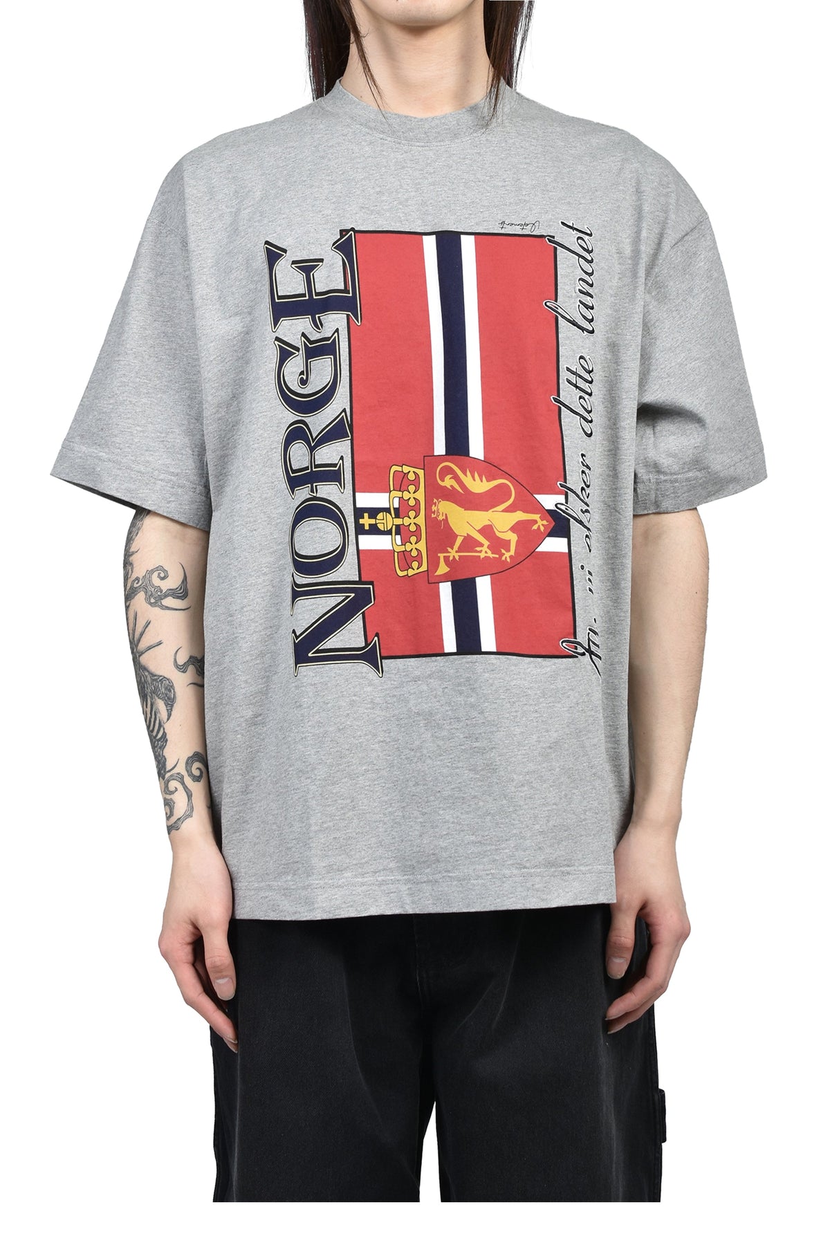 VETEMENTS ヴェトモン 【本物保証】 Tシャツ ストリート系 メンズ NORWAY TOURIST T-SHRIT / GRY MELANGE