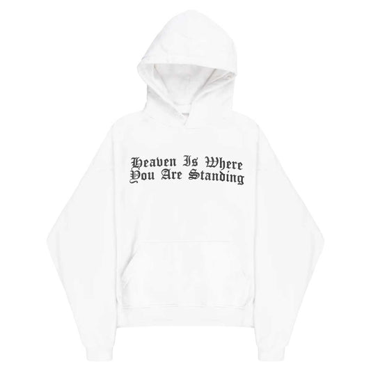 ALEXANDER DIGENOVA アレキサンダー・ディジェノバ 【本物保証】 パーカー ストリート系 メンズ HEAVEN HOODIE