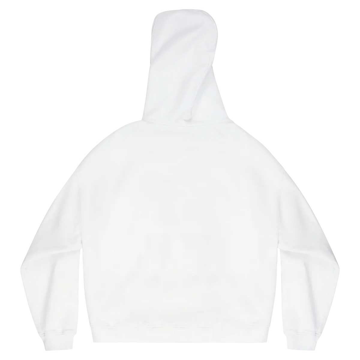 ALEXANDER DIGENOVA アレキサンダー・ディジェノバ 【本物保証】 パーカー ストリート系 メンズ HEAVEN HOODIE