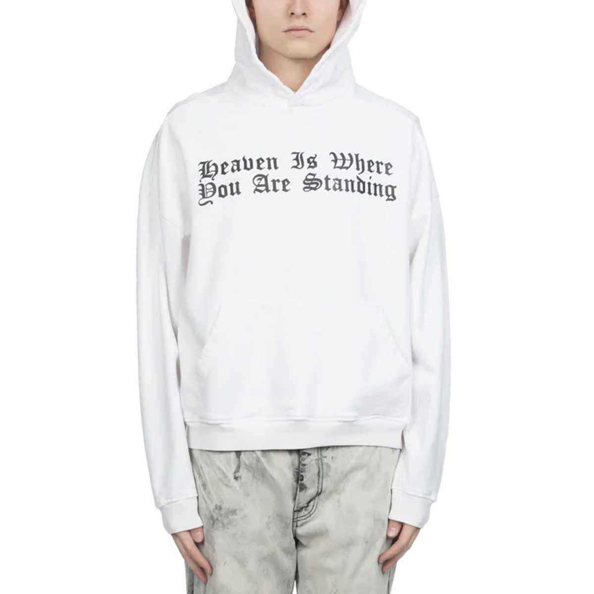 ALEXANDER DIGENOVA アレキサンダー・ディジェノバ 【本物保証】 パーカー ストリート系 メンズ HEAVEN HOODIE
