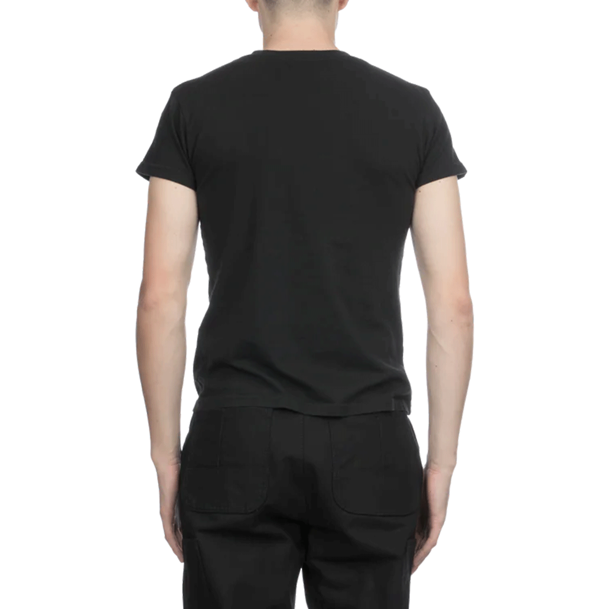 ALEXANDER DIGENOVA アレキサンダー・ディジェノバ 【本物保証】 Tシャツ ストリート系 メンズ TRUTH SERUM SMALL T-SHIRT
